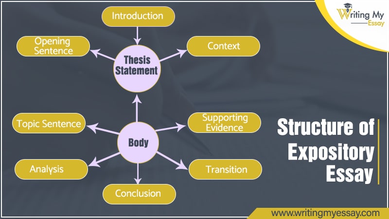 structure of expository essay brainly