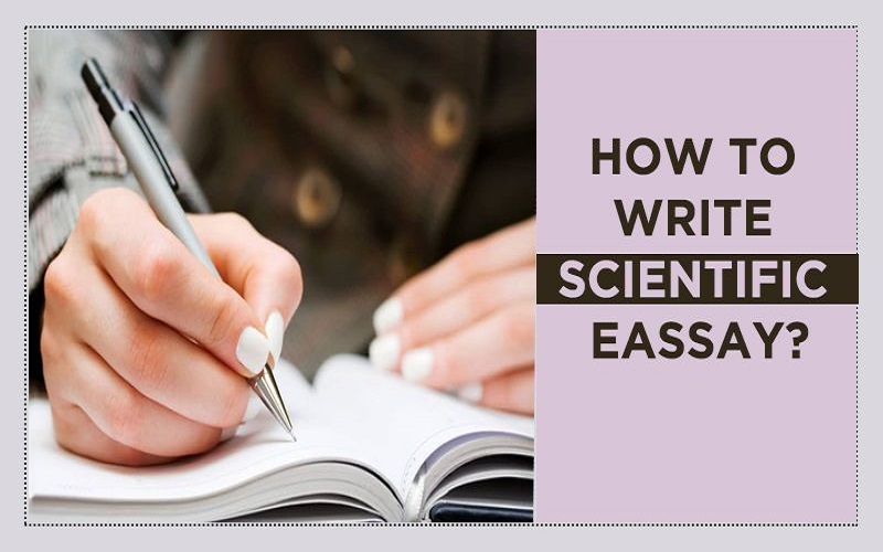 how to write a scientific essay example