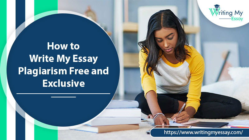 essay writer For Sale – How Much Is Yours Worth?